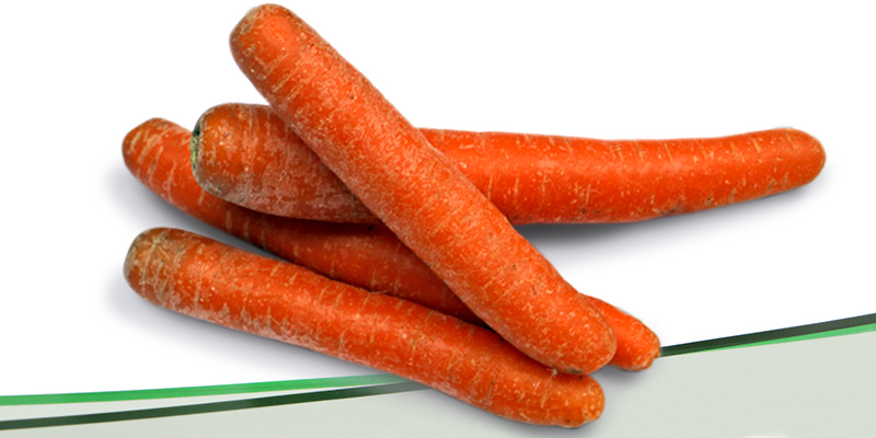 Lechner Karotten